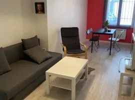 The Provençal orchid