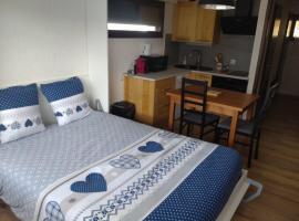 Appartement 4 personnes citée fleurie, hotel in Châtel