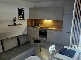 Apartament Studio Centrum