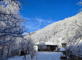Nedovića Potok, hotel in Rudnik