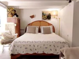 PARIS AUTHENTIC HOUSE open space studio Métro 14 Hôpital Bicêtre, RER B Gentilly