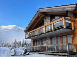 Jasna Chalet - Chopok view, apartmanh&aacute;z Dem&eacute;nv&ouml;lgy&ouml;n