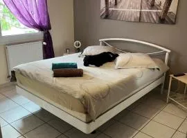 Chambre calme dans villa