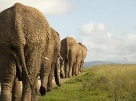 Knysna Elephant Park Lodge, khách sạn ở Plettenberg Bay