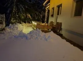 apartma Pohorc - Praprot