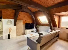 Studio rénové et équipé à Fleury les Aubrais