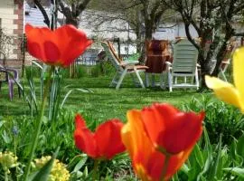 Apartment in Siesbach by Interhome