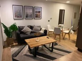 Modern 1-Bedroom Apartment in Somma Asturias
