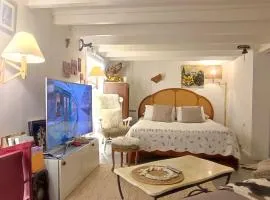 PARIS AUTHENTIC HOUSE Métro Line 14 Station Hôpital Bicêtre, RER B Gentilly