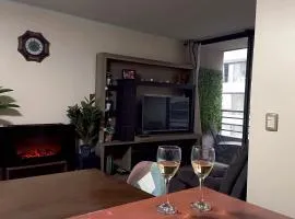 Apartment in Santiago Centro