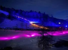 Apartment „Bergblick“