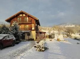 Pensiunea Dorel Codoban