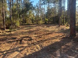 Nice 4,000 sqft vacant lot perfect for camping weekend get away, hotel in Hawthorne