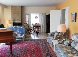 Apartment Appartement in Ruhbank mit Garten und Terrasse by Interhome