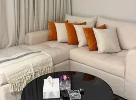 Private apartment with a classy character