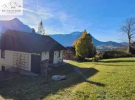 Holiday home in Bad Aussee - Steiermark 55006
