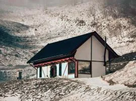 The White House Tripsylvania