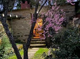 Ouma se Plaashuis - Martine se kamer, hotel em Van Reenen