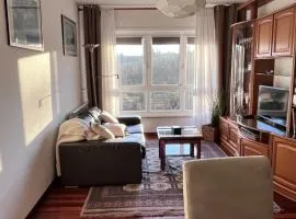 Apartamento Mirador del Tambre