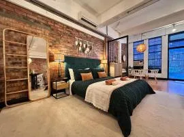 Large Luxury Loop Street Loft Apartment