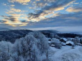 Traumblick Bayerischer Wald, Pool & Sauna, Getränke, Klimaanlage, hotel in Freyung
