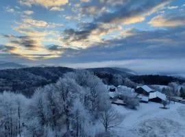 Traumblick Bayerischer Wald, Pool & Sauna, Getränke, Klimaanlage
