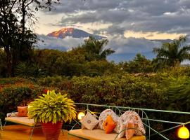 Pink Flamingo Boutique Hotel, hotel u gradu 'Moshi'