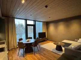 Great new apartment near the center of Levi