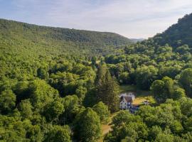 Prime Catskills 172acr LuxRiver Estates-Nature Reserver POOL-SUANA-HOTTUB-HIKING，Long Eddy的飯店