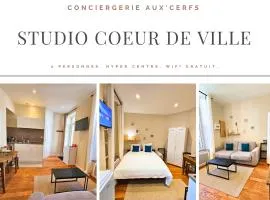 Aux'Cerfs - Studio coeur de ville