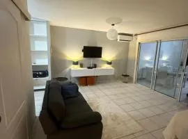 Cozy studio with garden terrace Didier neighborhood