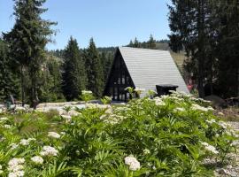 Black Chalet 2, hotel v destinaci Vartop
