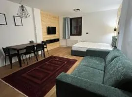 SKI GOAT Kopaonik Centar vila Nikola