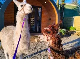 little peru luxury pods and alpaca farm