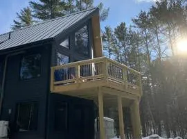 Newly built modern cabin immersed in the pines