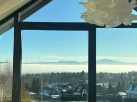 BeskidView Meszna 1