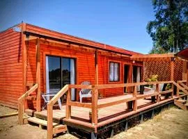 Cabaña Palmas de Tunquen