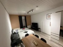 Zentrales 3-Schlafzimmer-Apartment in Würzburg-Hdf