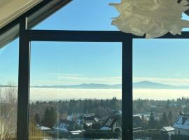 BeskidView Meszna 2, Hotel in Meszna