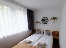 Kleines aber Feines Apartment über Schladming