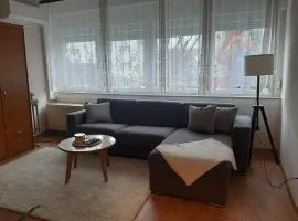 Stan na dan Brčko Centar