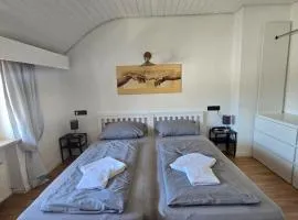 DoubleRoom - work and stay - shared house - 2floor