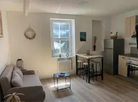 Charmant T2 cosy à Mazamet N5