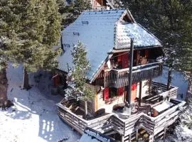 urige Hochgamshütte auf 1800m Nähe Skilift mit Sauna, Kamin & Panoramablick