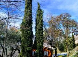 Alixares de Güéjar Sierra - Bungalows