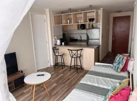 Marparaiso Apartment in Valparaíso
