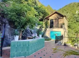 Catba Garden Camellia