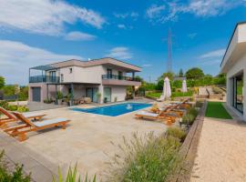 Villa Viktoria with private pool, barbecue, gym, children's playground, Hotel in Krivodol