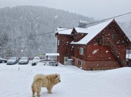 Pensiunea Cabana Viselor ,Apuseni, hotel in Vadu Moţilor
