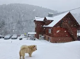 Pensiunea Cabana Viselor ,Apuseni